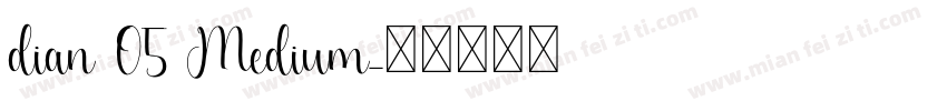 dian 05 Medium字体转换